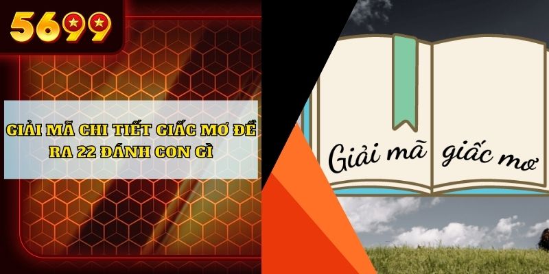 Giải mã chi tiết giấc mơ đề ra 22 đánh con gì